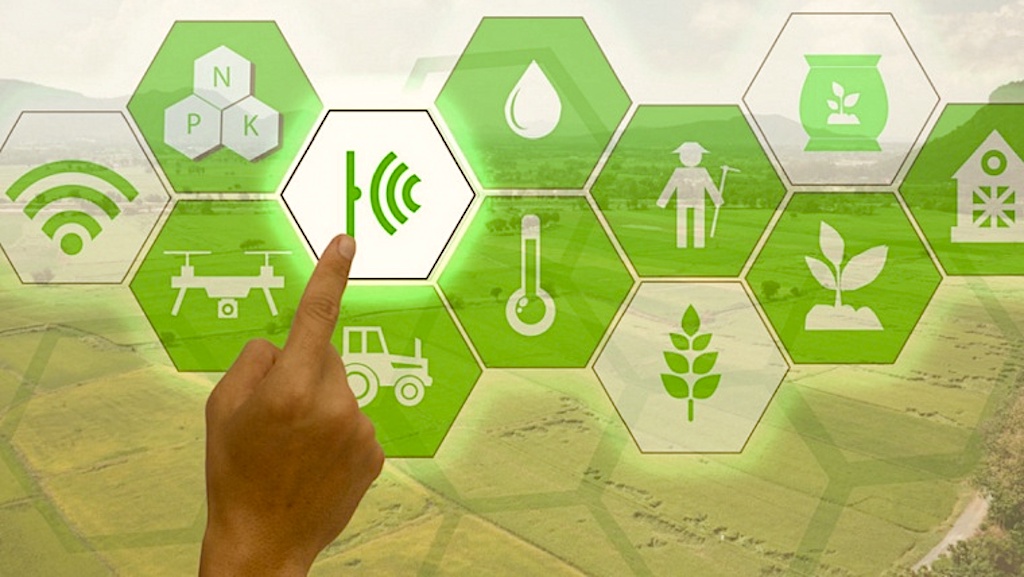 Transforming Nigerian Agriculture through Tech EcosystemBy Shuaib S. Agaka