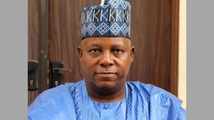 Culture Vice President of Nigeria, Kashim Shettima