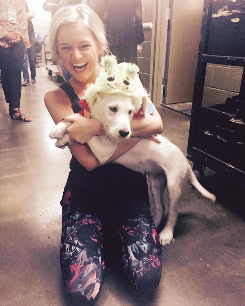 breaking news Kelsea Ballerini kneels on the floor with her dog Dibs when he was a puppy